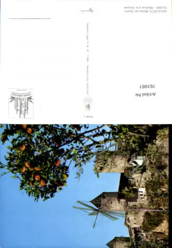 761061 Palma Molinos el Jonquet Balearic Islands Spain