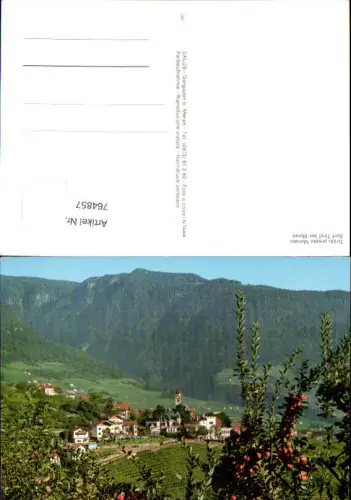 764857 Dorf Tirol Tirolo Meran Merano Trentino Italy