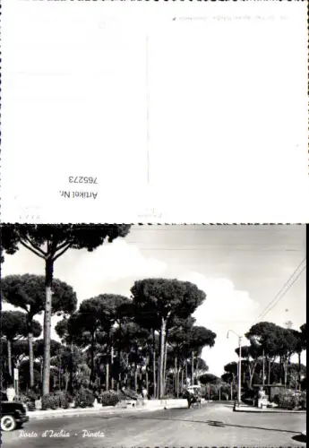 765273 Porto d'Ischia Pineta Neapel Italy Napoli