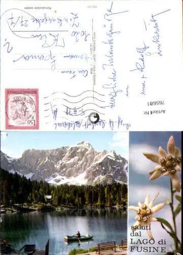 765681 Lago di Fusine Edelweiss Udine Italy