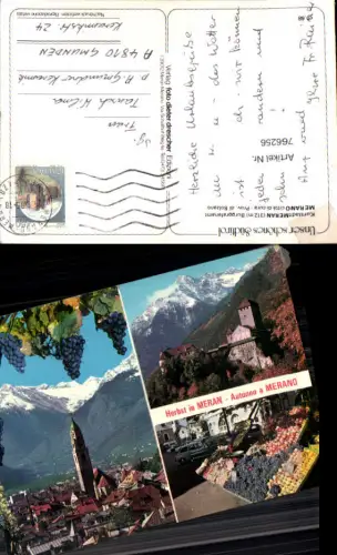 766256 Meran Burggrafenamt Italy Trentino