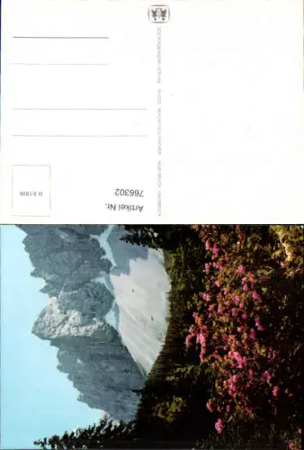 766302 SOS Kinderdorf O 3/1970 Karte Blumen Tirol Berge