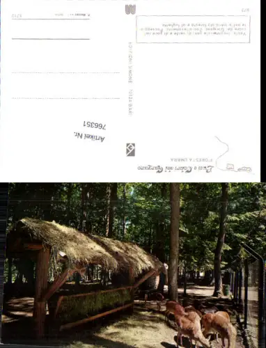 766351 Foresta Umbra Parco Nazionale del Gargano Provinz Foggia Italy