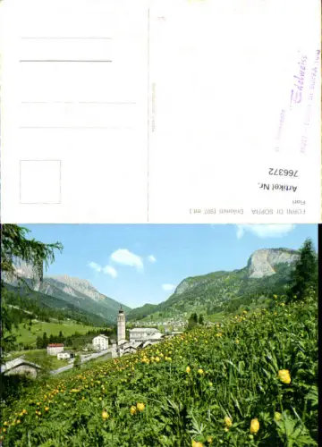 766372 Forni di Sopra Fiore Dolomiti Provinz Udine Italy