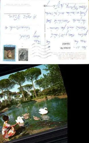 766492 Cervia-Milano Marittima Parco Naturale Provinz Ravenna Italy Schwan Schwäne