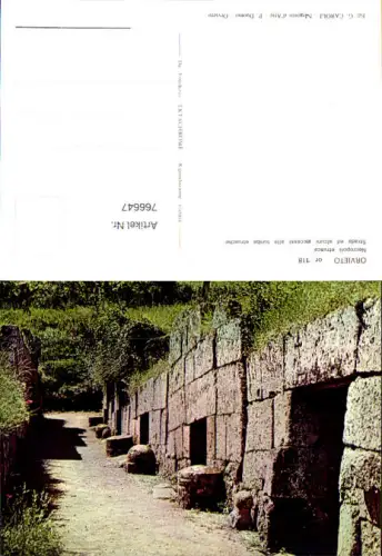 766647 Orvieto Necropoli etrusca Provinz Terni Italy