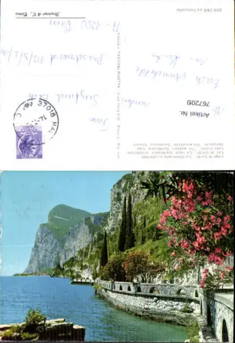 767209 Gardasee Gardesana occidentale Provinz Brescia Italy