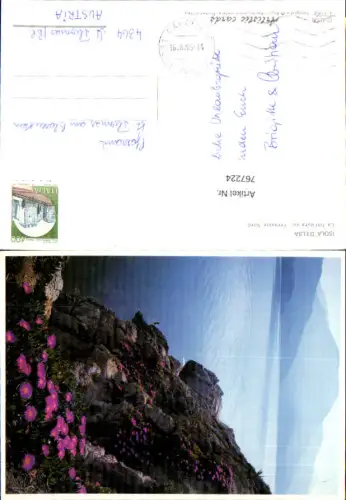 767224 Isola d'Elba La fioritura sul Versante Nord Provinz Livorno Italy
