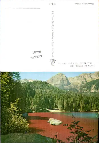 767287 Lago di Tovel Val di Non Provinz Trient Lago Rosso Trento Italy