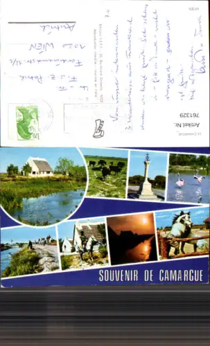 761329 Camargue Département Bouches-du-Rhône France