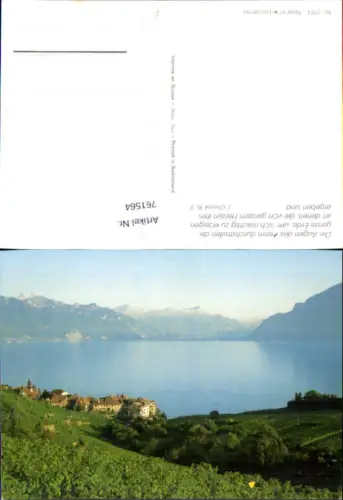 761564 Saint-Saphorin (Lavaux), Genfersee Waadt Switzerland