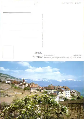 761563 Rivaz District de Lavaux-Oron Switzerland