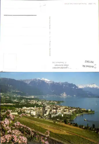 761562 Riviera Vaudoise Lac Léman Waadt Switzerland