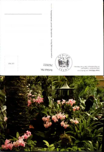 762822 Insel Mainau Orchideen im Palmenhaus LK Konstanz