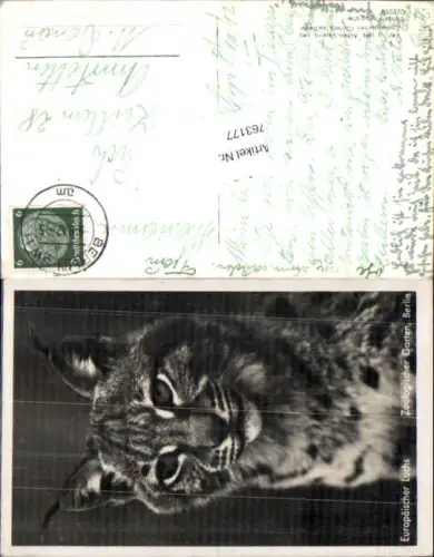 763177 Zoologischer Garten Berlin Luchs