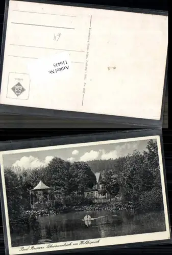 116435,Bad Reinerz Schlesien Schwanenteich Holteipark