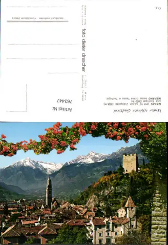 763447 Meran gegen Zielspitze und Tschigat Merano Bozen - Südtirol Italy