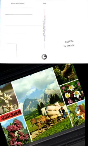 763728 Seiseralm Siusi Trentino Südtirol Italy Seis am Schlern