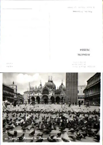 763984 Venezia Piccioni in Piazza S. Marco Venedig Italy