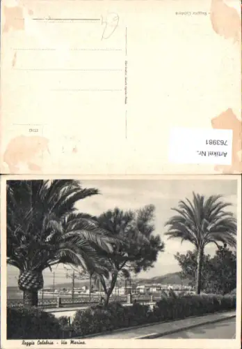 763981 Reggio Calabria Via Marina Calabria Italy Palmen