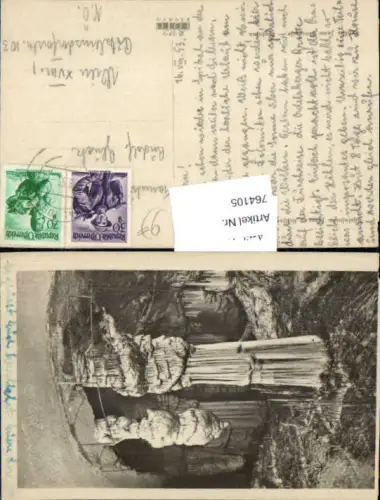 764105 Postojna Adelsberger Grotte Občina Postojna Slovenia Adelsberg