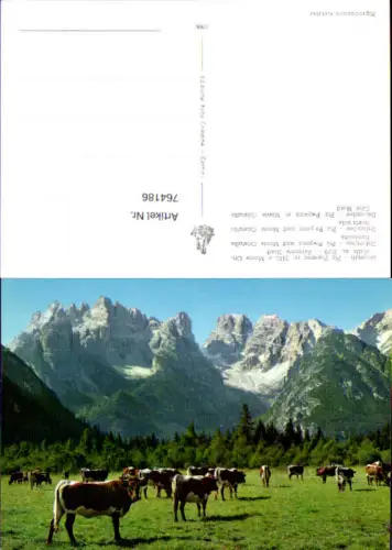 764186 Dolomiten Piz Popena Monte Cristallo Cortina d'Ampezzo Provinz Belluno Italy