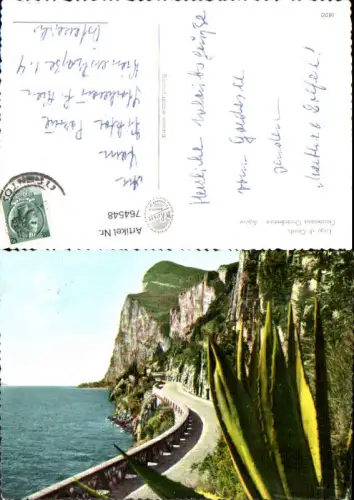 764548 Lago di Garda Gardesana Occidentale Provinz Brescia Italy Kaktus