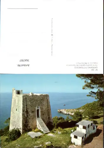 764787 Gargano, Torre quadrangolare dei Saraceni e trabucco di Monte Pucci Provinz Foggia Italy