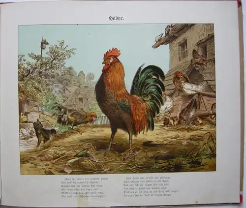 Wilhelm Hey Fünzig Fabeln für Kinder Illustr. Otto Speckter 12 Chromotafeln 1888