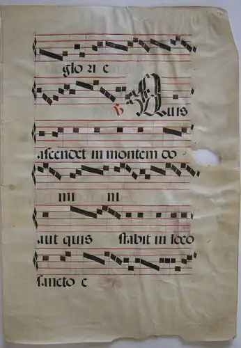 Antiphonarblatt Pergament 59 x 41 cm Handschrift Kirchenmusik 1600 Initiale