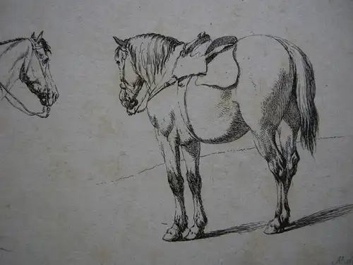 Georg Philipp Rugendas Etudes de Chevaux gesattelte Pferde Orig Radierung 1802
