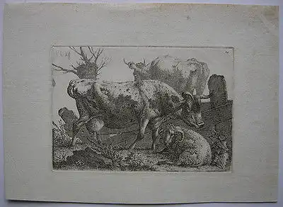 Carl Wilhelm Kolbe (1757-1835)  Kühe Schaf Orig Radierung 1800 plattensigniert