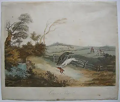 Coursing Jagd Hasenjagd Orig Farblithographie 1809 England Windhunde