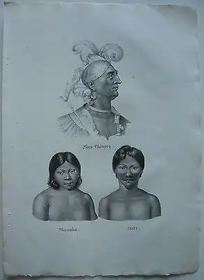 Brasilien Juri Yuri Orig Lithografie Spix Martius 1824 Brodtmann Amazonas