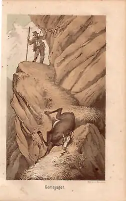 Gemsjäger Jagd Alpen  Farb Lithgraphie 1850