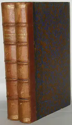 G. Pizzighelli Handbuch Photograhie 2 Bände Halbleder 1886 Fototechnik
