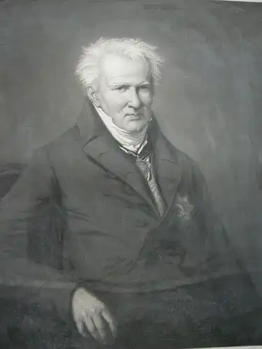 Alexander von Humboldt (1769-1859) Portrait Halbfigur Orig. Radierung 1850