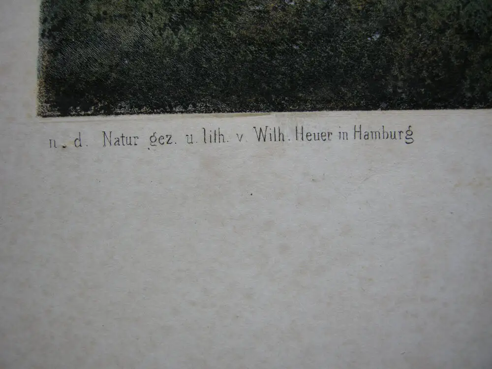 Wilhelm Heuer (1813-1890) Schlossgarten bei Kiel Orig Lithografie bei Plate 1855 3