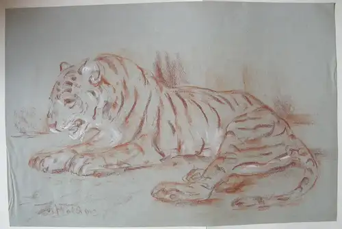 Fritz von Heider (1868-1933) Tiger-StudienZeichnung Rötel um 1900 signiert