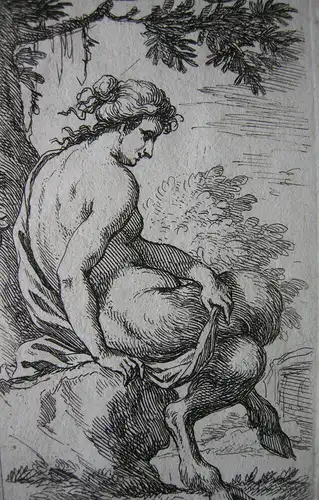 Fauna weiblicher Faun Rokoko Putti Rocaille Arkanthusblätter Kupferstich 1780