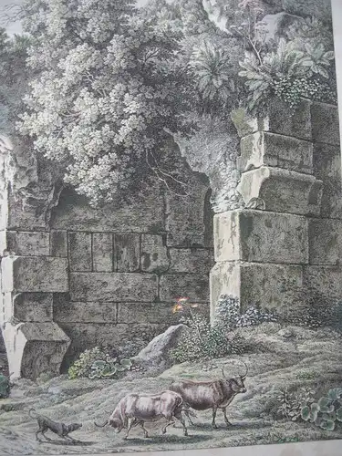 Joh. Chr. Reinhart (1761-1847) Nel Colosseo altkolor Orig Radierung 1792
