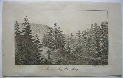 Stammbuchblatt Silbertal bei Herzberg Harz Orig. Kupferstich 1820 Niedersachsen