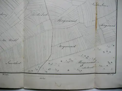 Flurkarte Gemarkung Sigmaringen MKXXI Remensberger Orig. Lithografie 1844 Lutz