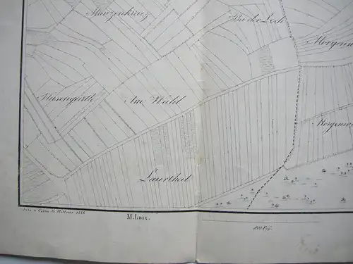 Flurkarte Gemarkung Sigmaringen MKXXI Remensberger Orig. Lithografie 1844 Lutz