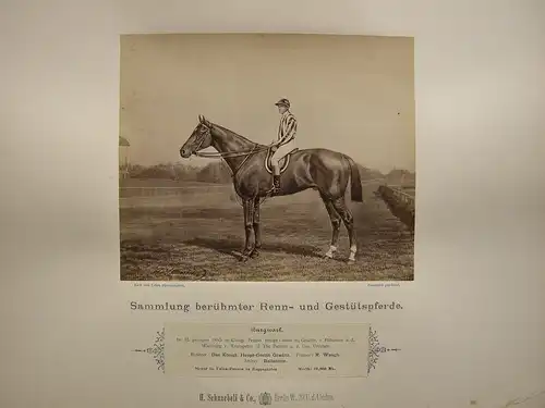 H. Schnaebeli berühmte Renn- und Gestütspferde 16 Albumin Fotos 1890 Turf