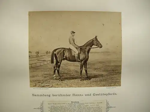 H. Schnaebeli berühmte Renn- und Gestütspferde 16 Albumin Fotos 1890 Turf