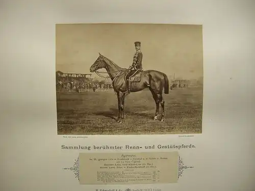 H. Schnaebeli berühmte Renn- und Gestütspferde 16 Albumin Fotos 1890 Turf