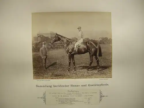 H. Schnaebeli berühmte Renn- und Gestütspferde 16 Albumin Fotos 1890 Turf