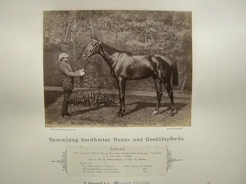 H. Schnaebeli berühmte Renn- und Gestütspferde 16 Albumin Fotos 1890 Turf
