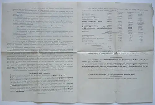 Beschreibung König-Ottobad Wiesheu Oberpfalz Ansichten um 1900 Balneologie